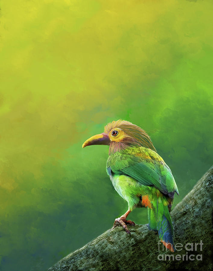 Emerald Toucanet Digital Art by Melinda Hughes-Berland Emerald Toucanet Digital Art by Melinda Hughes-Berland