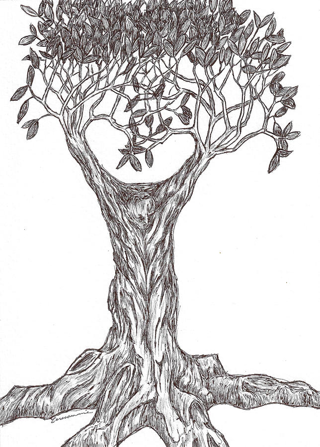 Emergent Tree Drawing by Teresamarie Yawn