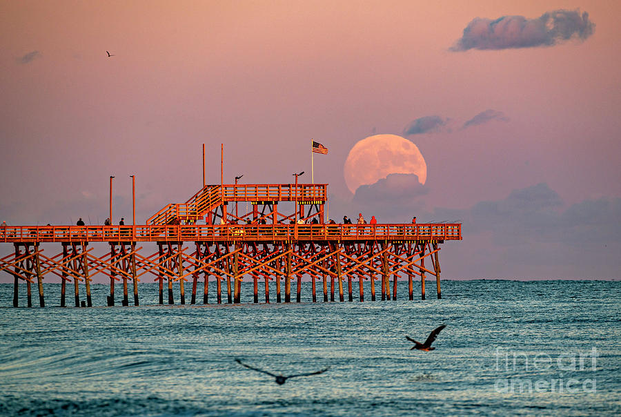 Emerging Moon Photograph by DJA Images