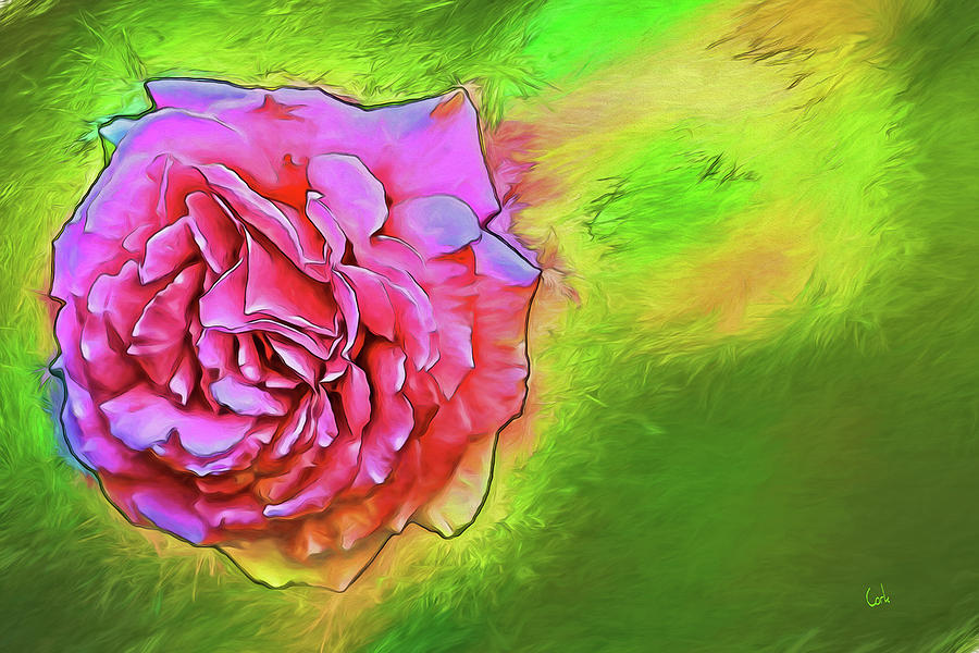 Emerging Rose Digital Art by Terry Cork