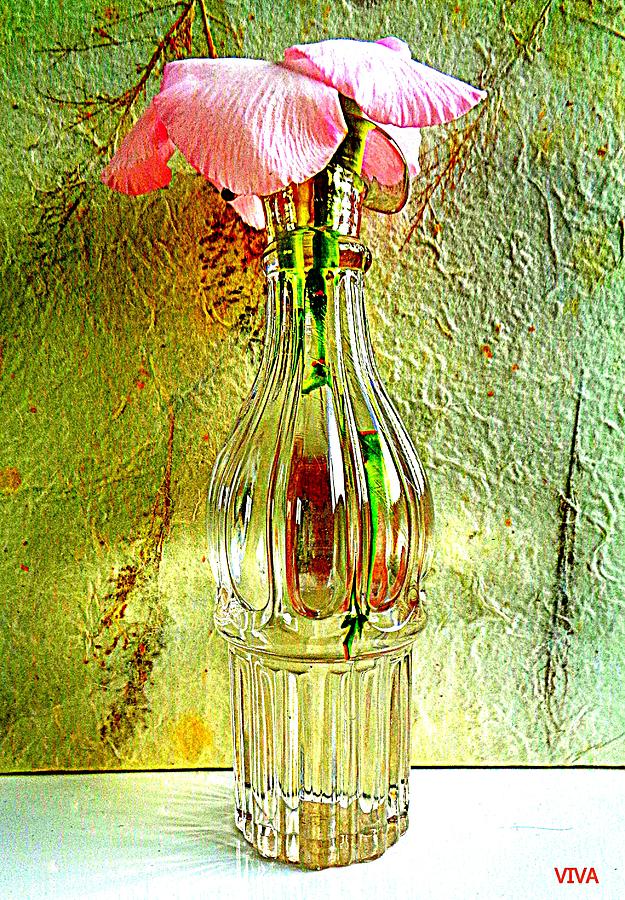Still Life Photograph - Emilies  Flowers - 2 by VIVA Anderson
