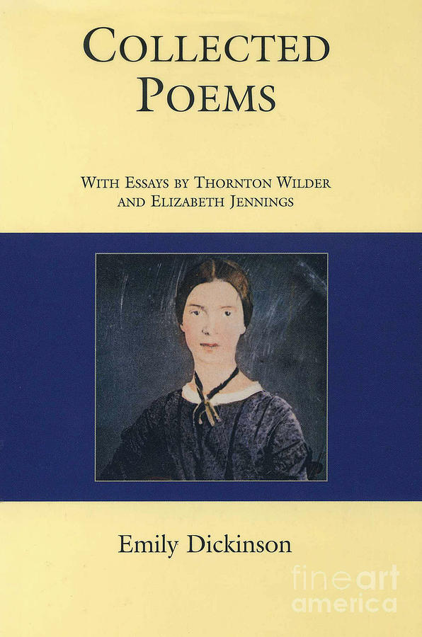 Emily Dickinson. Photograph by Stan Pritchard - Fine Art America