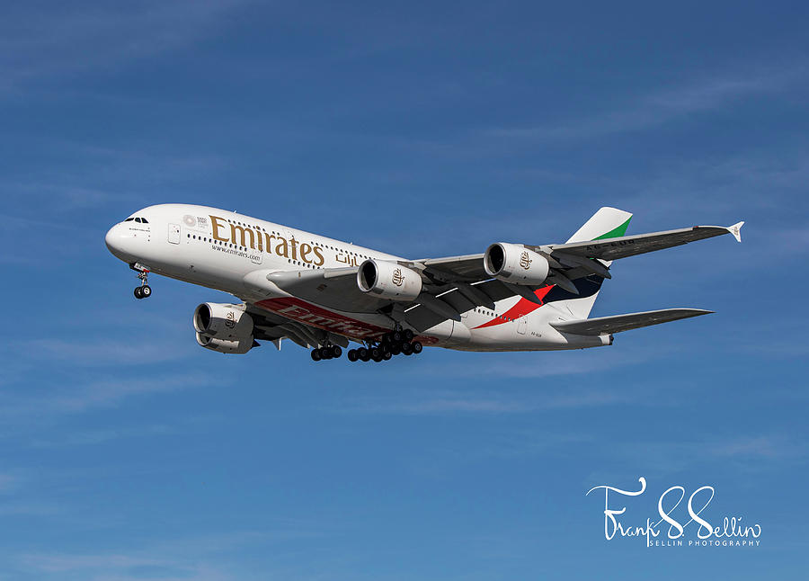 Emirates Whale Photograph by Frank Sellin