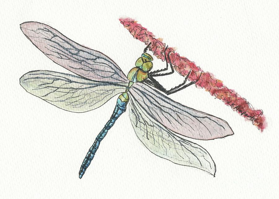 Emperor Dragonfly Painting by Lisa Amport - Fine Art America