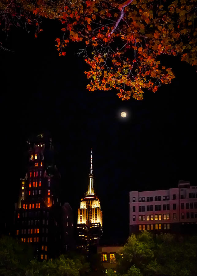 Empire State Building - from Bryant Park in Autumn Photograph by Christine Ley