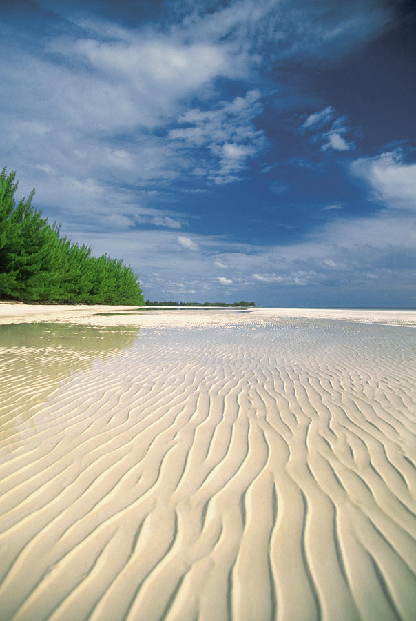 Empty beach in Lucayan National Park on Grand Bahama Island, Bahamas, Caribbean Photograph by Medioimages/Photodisc