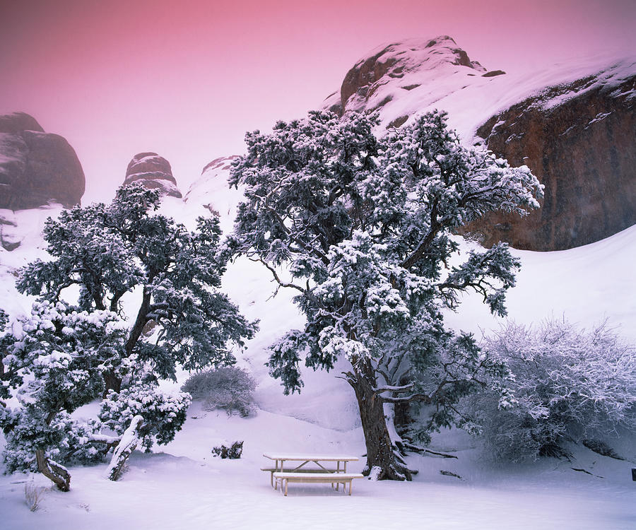 Empty bench under snow covered trees, Arches National Park, Utah, USA Photograph by Panoramic Images