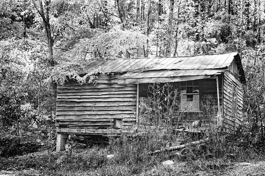 Empty Cabin - Abandoned in the Mountains Photograph by Bob Decker