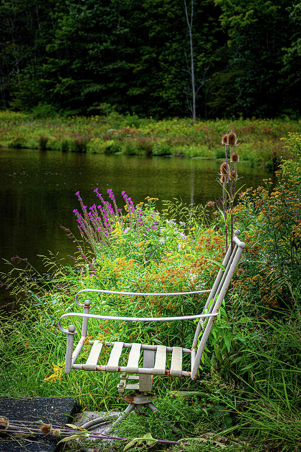 Empty Chair by Pond Labor Day 2020 Photograph by Chester Wiker - Fine ...