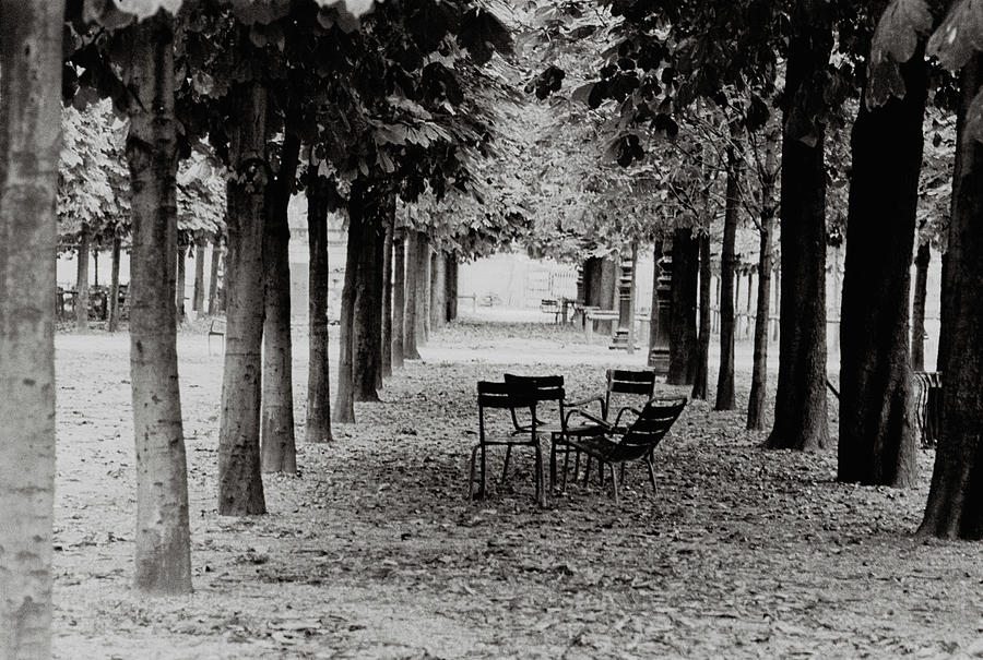 Empty chairs in Tuileries Gardens Photograph by Michael Goldman - Fine ...