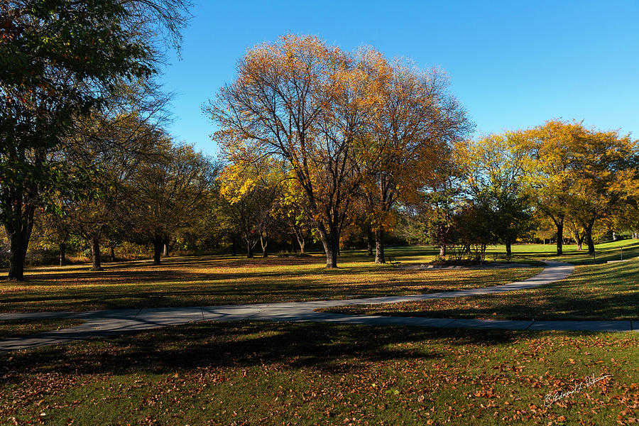 Empty Fall Park Photograph by Ed Peterson