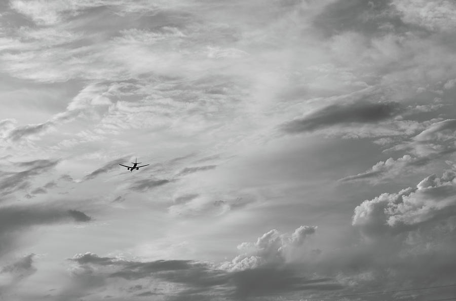Empty Flight Photograph by Alex Lapidus