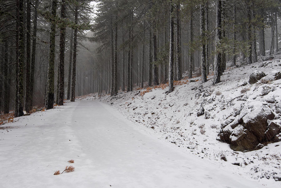 Empty frozen snowy  forest road. dangerous rural path in winter. Photograph by Michalakis Ppalis