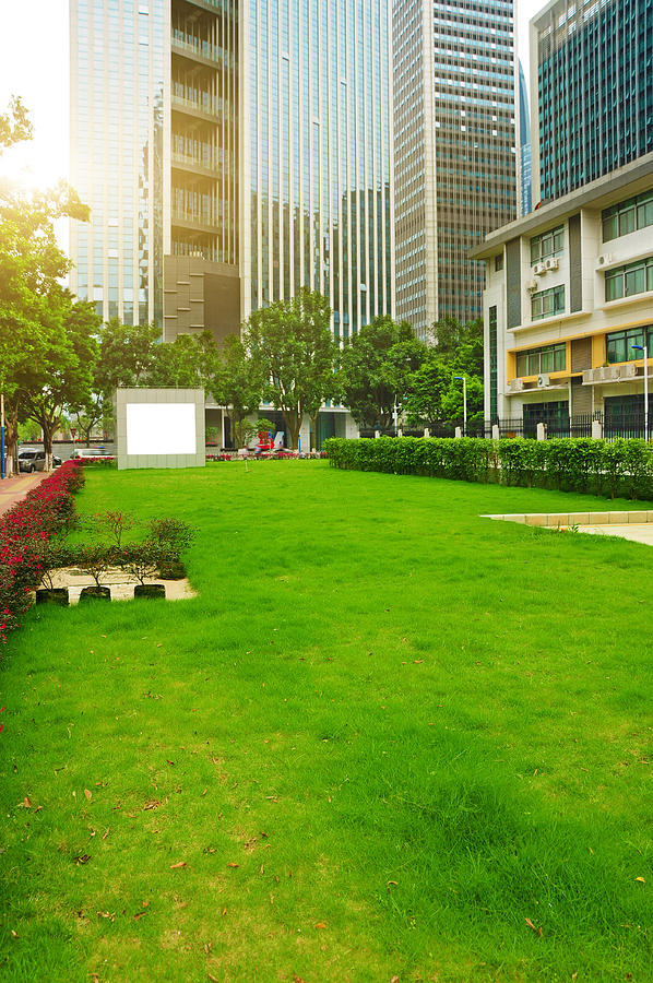 Empty green field around by business zone in Guangzhou,China. Photograph by Yurou Guan