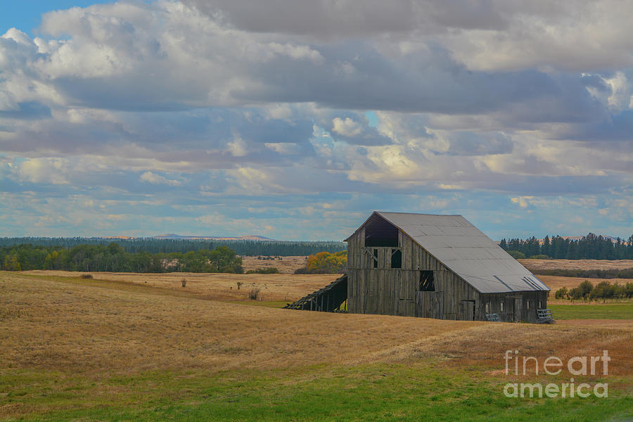 Empty Old Barn On Farm Land In Eastern Washington Photograph