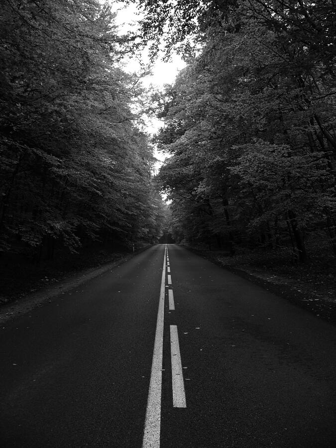 Empty road in forest Photograph by Patrycia Schweiss / FOAP