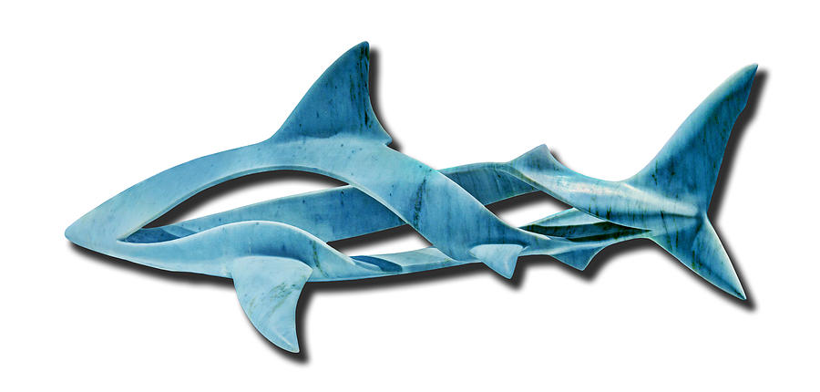 Empty Shark Sculpture Photograph by Weston Westmoreland