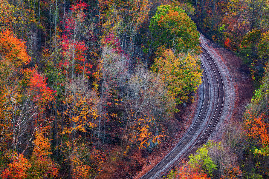 Empty Tracks in the Fall Photograph by Darren White