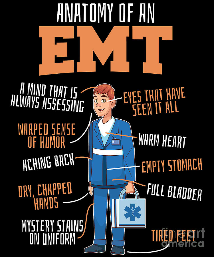 Emt Anatomy Of An Emt Digital Art by Yestic