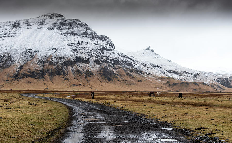Mountain landscape in winter Iceland Photograph by Michalakis Ppalis
