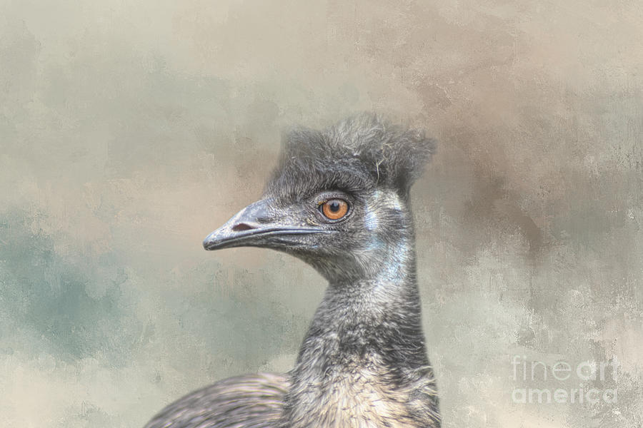 Emu Photograph - Emu Portrait 02 by Elisabeth Lucas