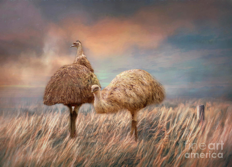 Emus at Sunset Mixed Media by Kathy Kelly