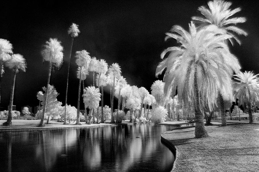 Encanto Park Photograph by Jim Painter