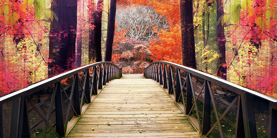 Enchanted Autumn Crossing Photograph by Jessica Jenney
