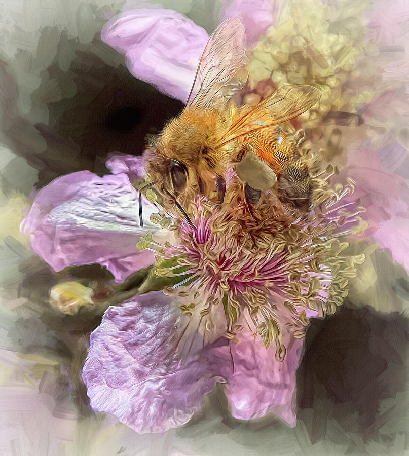 Enchanted Bee 0059 Photograph by Samuel Sheats