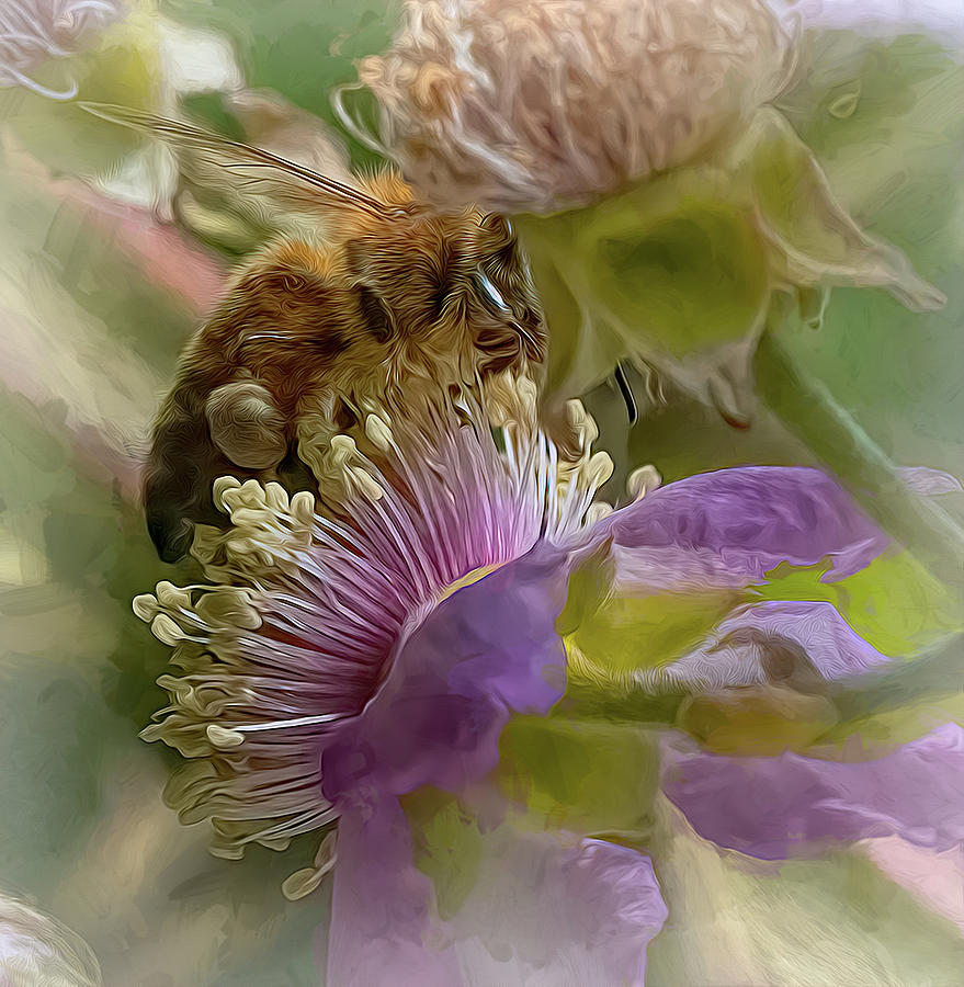 Enchanted Bee 0121 Photograph by Samuel Sheats