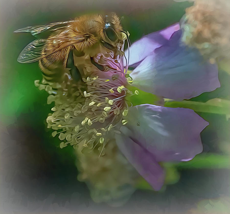 Enchanted Bee 0134 Photograph by Samuel Sheats