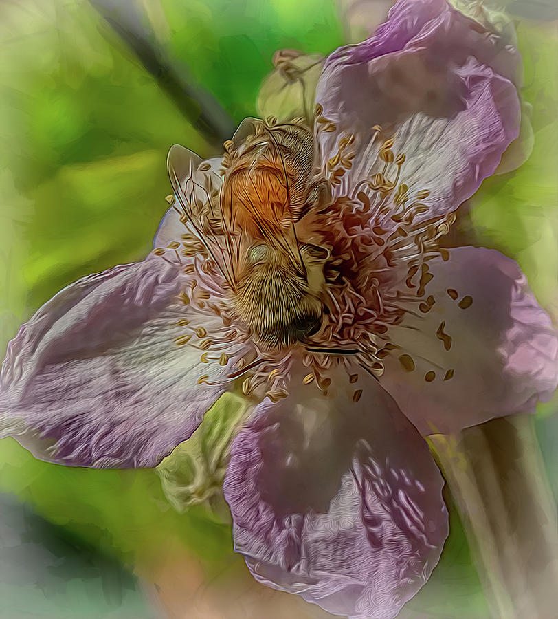Enchanted Bee 1009 Photograph by Samuel Sheats