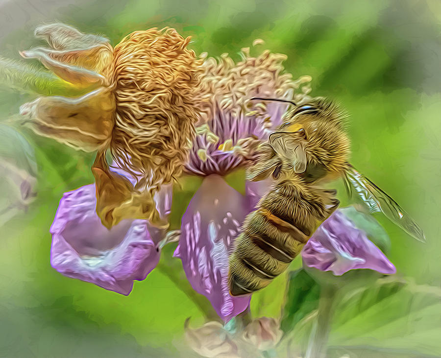 Enchanted Bee 1157 Photograph by Samuel Sheats