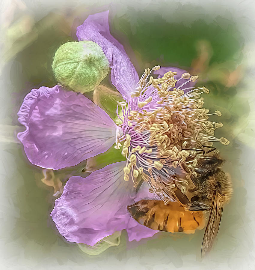 Enchanted Bee 1360 Photograph by Samuel Sheats