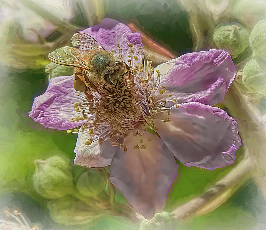 Enchanted Bee 1373 Photograph by Samuel Sheats