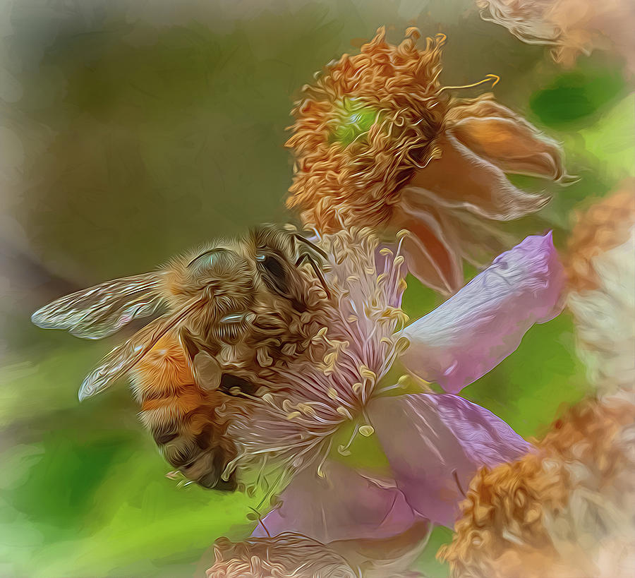 Enchanted Bee 1426 Photograph by Samuel Sheats