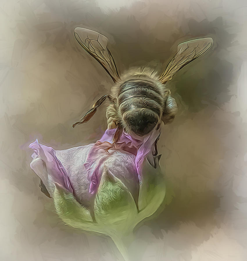 Enchanted Bee 1434 Photograph by Samuel Sheats
