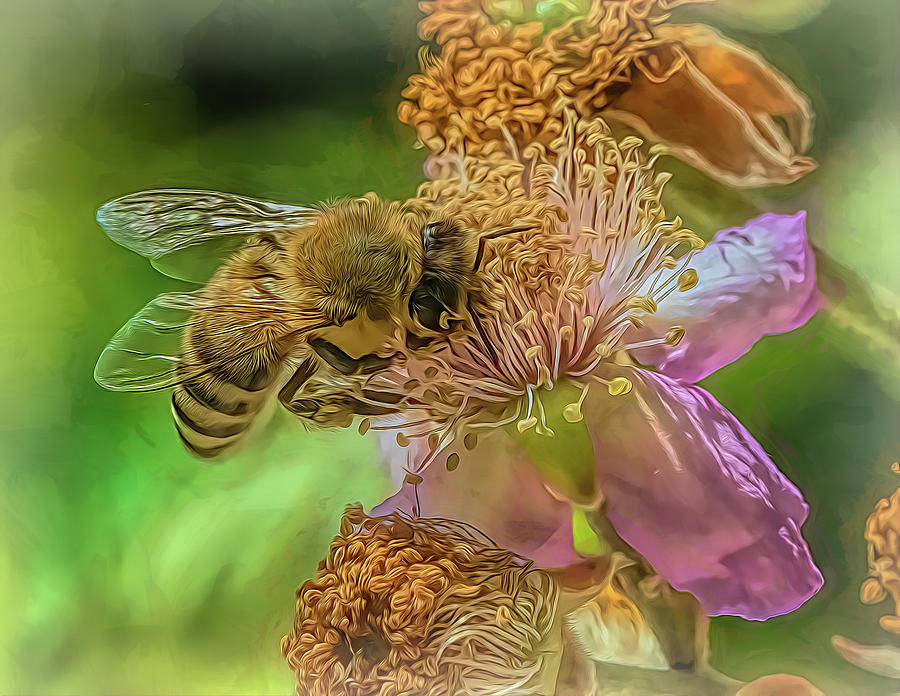 Enchanted Bee 1454 Photograph by Samuel Sheats