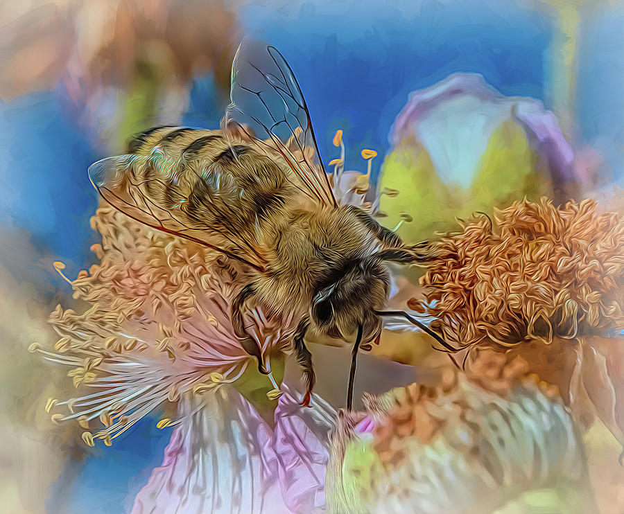 Enchanted Bee 1559 Photograph by Samuel Sheats