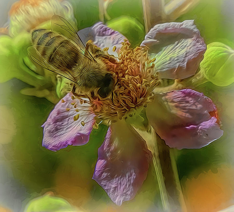 Enchanted Bee 1727 Photograph by Samuel Sheats