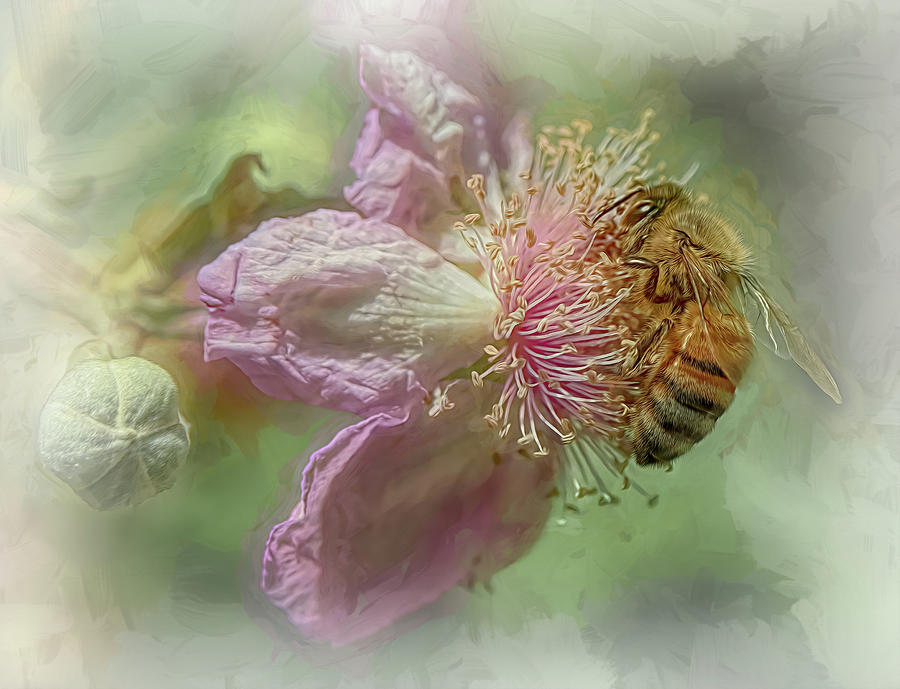 Enchanted Bee 2404 Photograph by Samuel Sheats