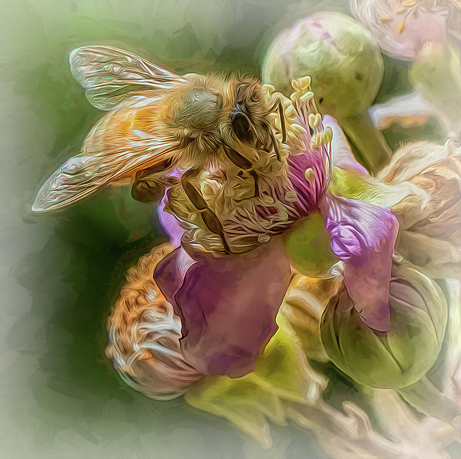 Enchanted Bee 2533 Photograph by Samuel Sheats
