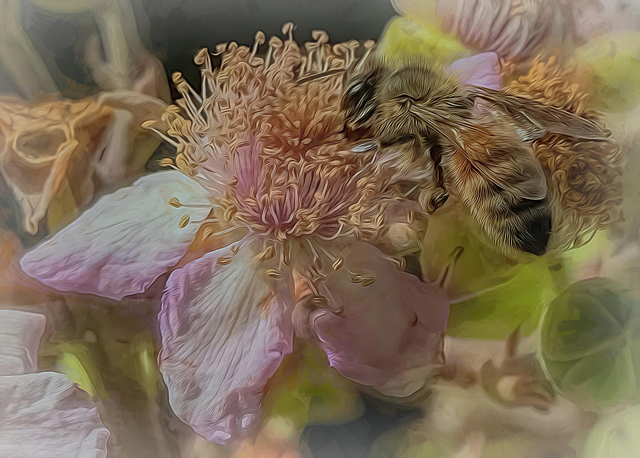 Enchanted Bee 2621 Photograph by Samuel Sheats