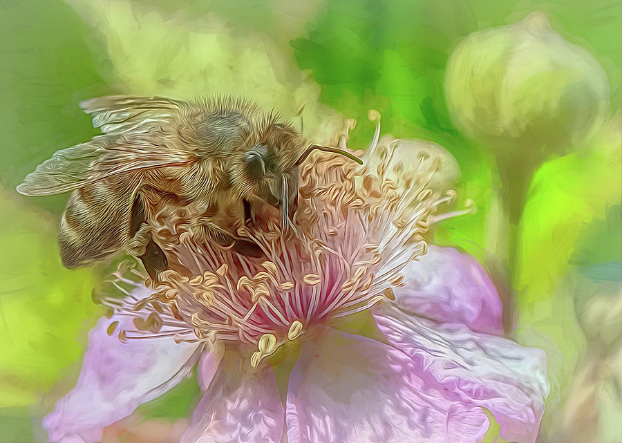 Enchanted Bee 2946 Photograph by Samuel Sheats
