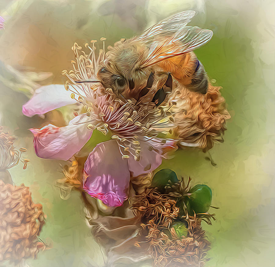 Enchanted Bee 2952 Photograph by Samuel Sheats