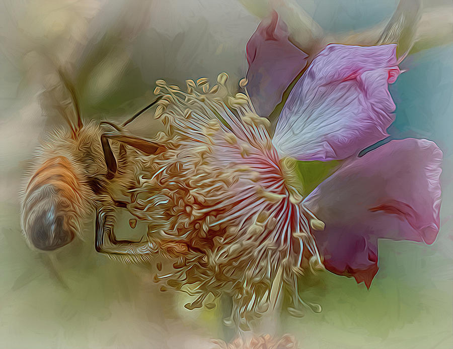 Enchanted Bee 2956 Photograph by Samuel Sheats