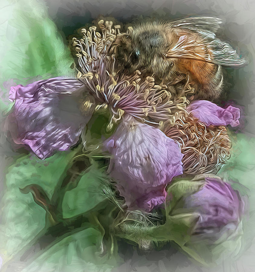 Enchanted Bee 3065 Photograph by Samuel Sheats