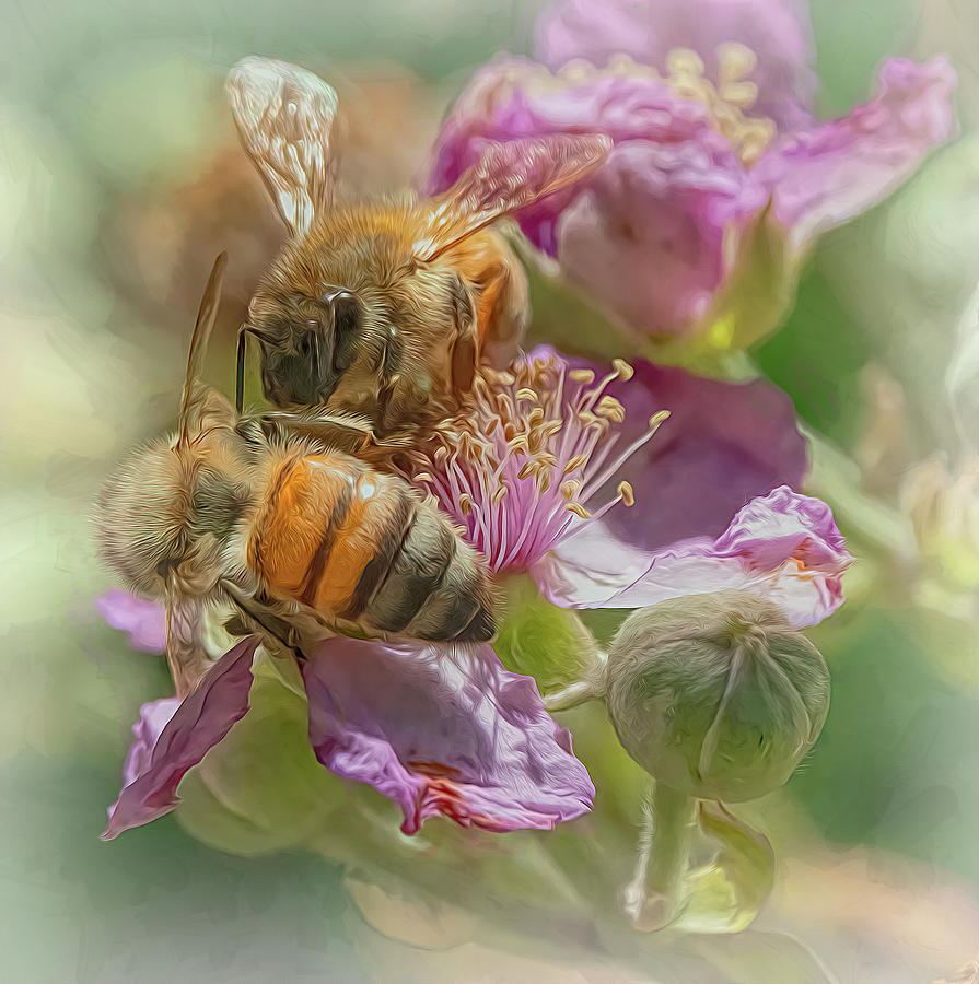 Enchanted Bee 3343 Photograph by Samuel Sheats