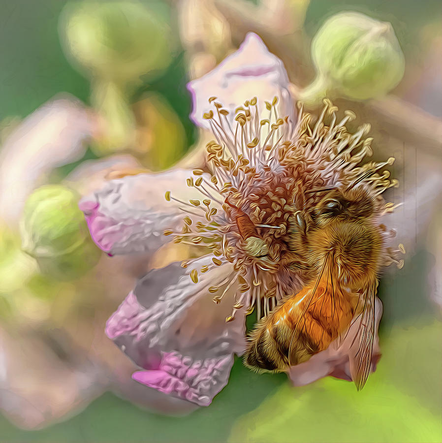 Enchanted Bee 3429 Photograph by Samuel Sheats