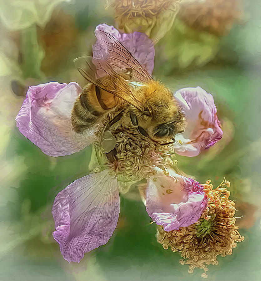 Enchanted Bee 3442 Photograph by Samuel Sheats
